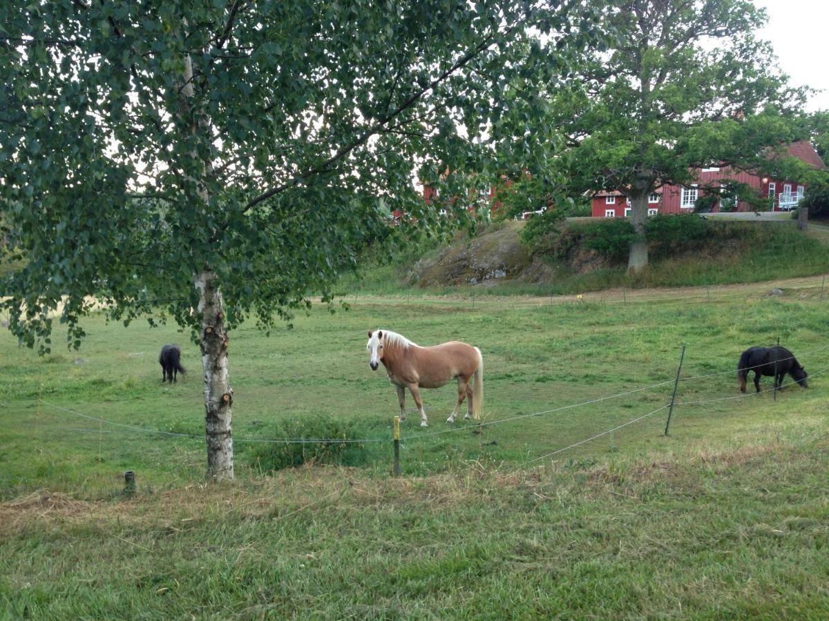Yxningens Holiday Homes, Cottages And Camping Gusum Eksteriør billede
