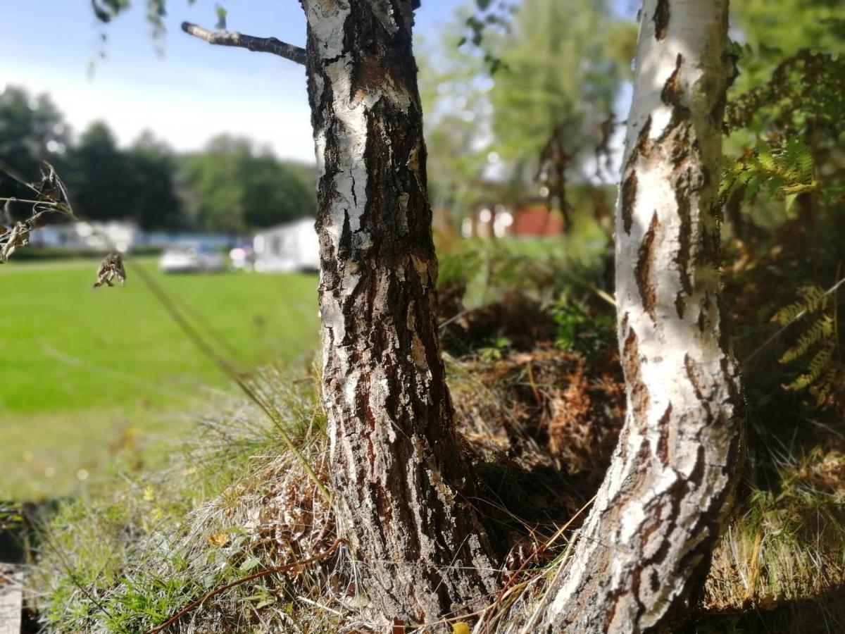 Yxningens Holiday Homes, Cottages And Camping Gusum Eksteriør billede